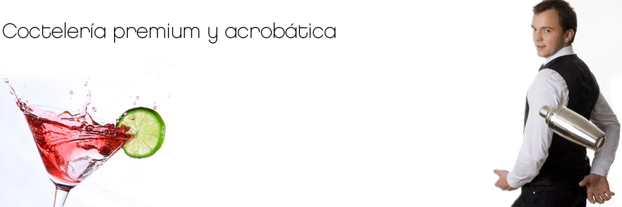 Cocteler&iacute;a para eventos y cocteleros acrob&aacute;ticos