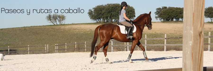 Paseos y rutas a caballo galicia